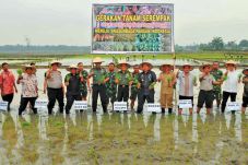 Pemkab -TNI Gagas Tanam...