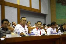Batu Akik-Cenderawasih...