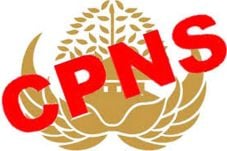 Moratorium CPNS Perlu...