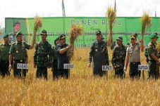 Ketahanan Pangan Penting...