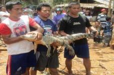 Nelayan Padang Temukan...