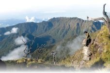 Romantisme Puncak Gunung...