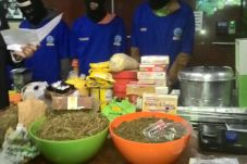 BNN Duga Bisnis Ini...
