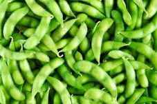 Tanam Edamame, 2 Bulan...
