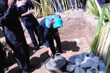 Ratusan Hektar Sawah...