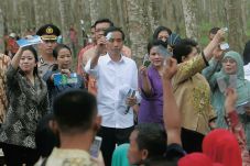 Jokowi Bagikan KIS ke...