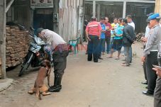 Juragan Kayu Diduga...