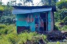 Petani Tewas Disambar...