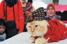 Kucing pun Pakai Beskap...