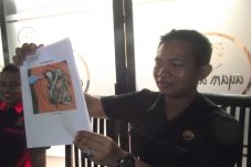 Tengkorak Manusia Ditemukan...