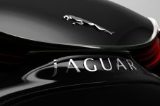 Jaguar Bangun Beberapa...