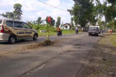 Warga Tanam Pohon Pisang...