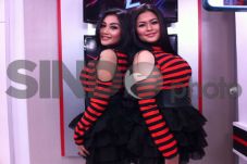 Tips Khusus Duo Serigala...
