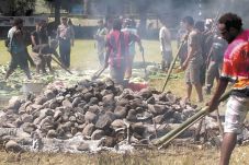 Warga Papua Ikrar Damai...