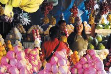 Buah-buahan Dongkrak...