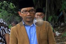 Survei: Ridwan Kamil...