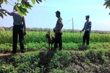 Tiga Jam, Polisi dan...