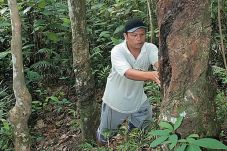 30 Perusahaan Karet...