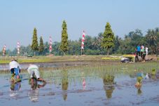 Lahan Abadi Sulit Dijaga