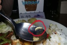 Ada Ulat di Makanan...