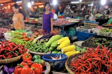Harga Cabai Merah Tembus...