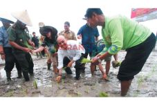 Eldin Dukung Swasembada...