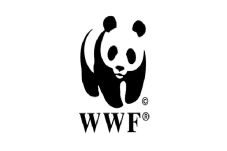 WWF Ingatkan, Hiu Bukan...