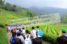Wisatawan Terus Penuhi...