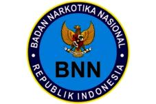 BNN Incar Harta Bandar...