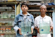 Jenis Giant Lebih Mahal...