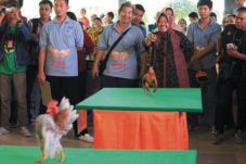 Berlenggak-lenggok Busungkan...