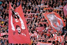 Thanks,Stevie!