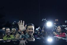 Besok, Tim Transisi...