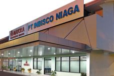 Mayora Marketing Way,...