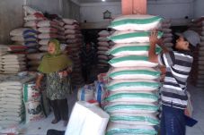 Kulonprogo Bebas dari...
