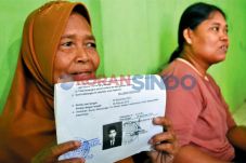 Hanya Makan Ikan, Bekerja...