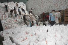 Antisipasi Beras Plastik,...