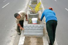 Median Jalan Tidak Terurus