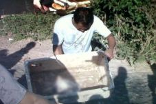 Menjaring Ikan di Sungai,...