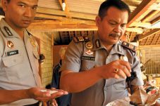Beras Sintetis Sudah...