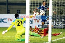Konsentrasi Maung Bandung...