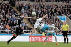 Posisi The Magpies Lebih...