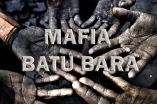 Mafia Batu Bara Lebih...
