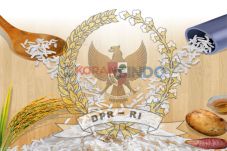 DPR Segera Bentuk Pansus...