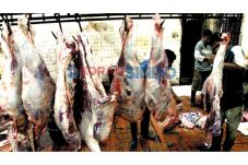 Permintaan Daging Sapi...