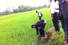 Traktor Terguling saat...