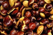 Harga Jengkol di Daerah...