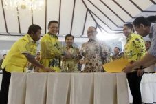 Pilkada Serentak, Golkar...