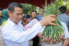 Stok Aman, Harga Bawang...