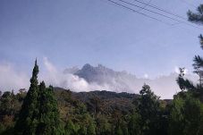 Gempa Tewaskan 11 Orang,...
